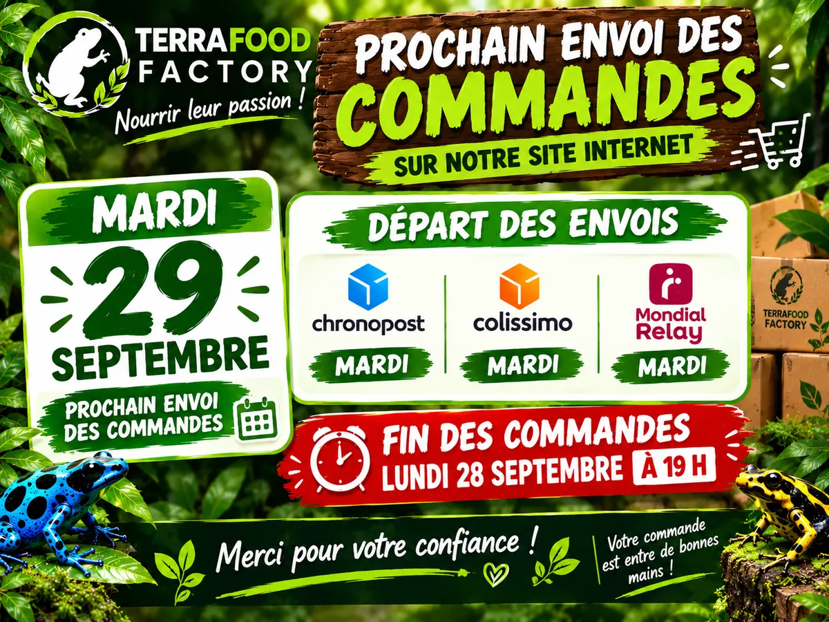 Insectes vivants pour terrarium