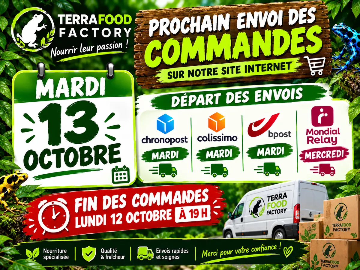 Insectes vivants pour terrarium